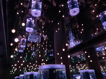 マクセル アクアパーク品川に投稿された画像（2023/12/15）