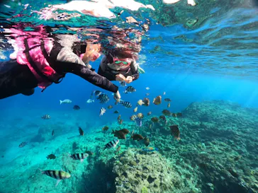 武藤潜水に投稿された画像（2023/12/15）