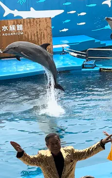 仙台うみの杜水族館に投稿された画像（2023/12/15）