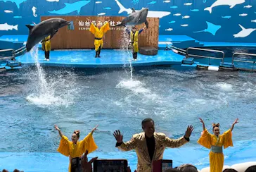仙台うみの杜水族館に投稿された画像（2023/12/15）