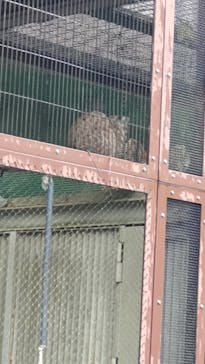 名古屋市東山動植物園に投稿された画像（2023/12/15）