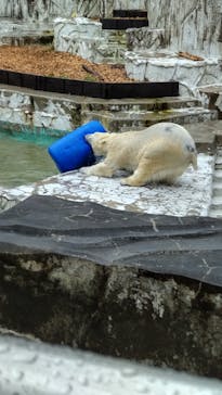 名古屋市東山動植物園に投稿された画像（2023/12/15）