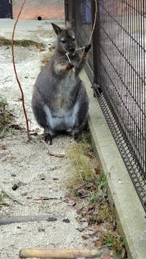 名古屋市東山動植物園に投稿された画像（2023/12/15）
