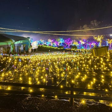 伊豆ぐらんぱる公園に投稿された画像（2023/12/15）
