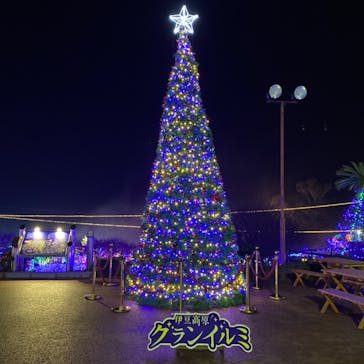 伊豆ぐらんぱる公園に投稿された画像（2023/12/15）