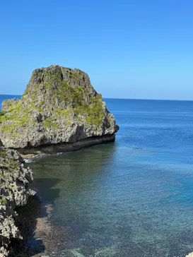 武藤潜水に投稿された画像（2023/12/15）