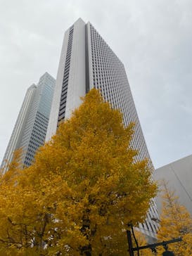 ゴッホと静物画　伝統から革新へ（SＯＭＰＯ美術館）に投稿された画像（2023/12/15）