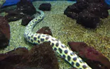仙台うみの杜水族館に投稿された画像（2023/12/15）