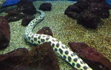 仙台うみの杜水族館に投稿された画像（2023/12/15）