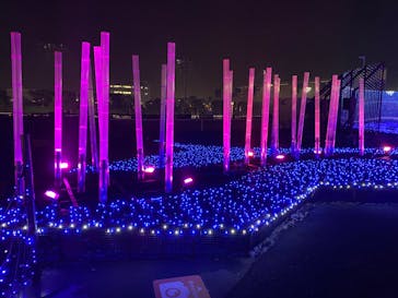 東京メガイルミに投稿された画像（2023/12/15）