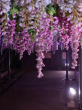 東京メガイルミに投稿された画像（2023/12/15）