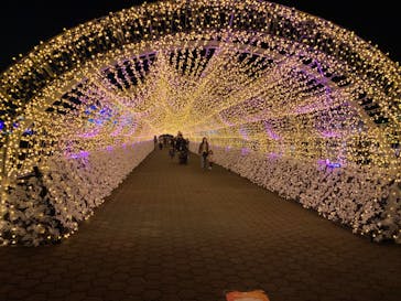 東京メガイルミに投稿された画像（2023/12/15）