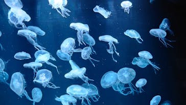 AOAO SAPPOROに投稿された画像（2023/12/15）