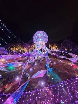 江の島シーキャンドルに投稿された画像（2023/12/15）