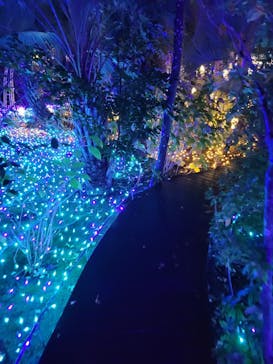 江の島シーキャンドルに投稿された画像（2023/12/15）