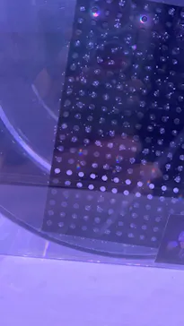 マクセル アクアパーク品川に投稿された画像（2023/12/15）