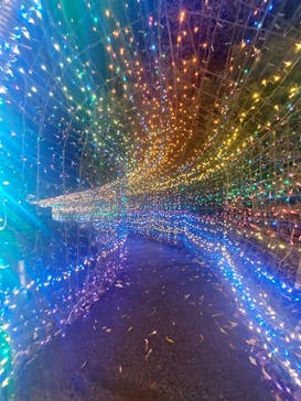 伊豆ぐらんぱる公園に投稿された画像（2023/12/15）