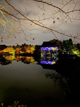 NAKEDヨルマイリ 2025-26 平安神宮に投稿された画像（2023/12/15）