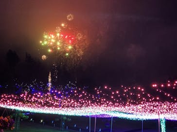 とっとり花回廊に投稿された画像（2023/12/15）