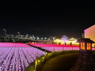 東京メガイルミに投稿された画像（2023/12/15）
