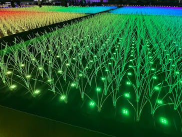 東京メガイルミに投稿された画像（2023/12/15）