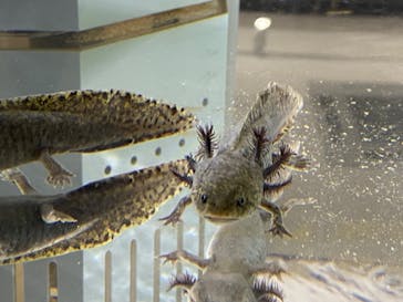 AOAO SAPPOROに投稿された画像（2023/12/15）