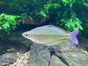 AOAO SAPPOROに投稿された画像（2023/12/15）