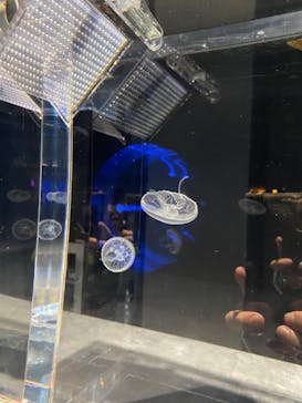 AOAO SAPPOROに投稿された画像（2023/12/15）