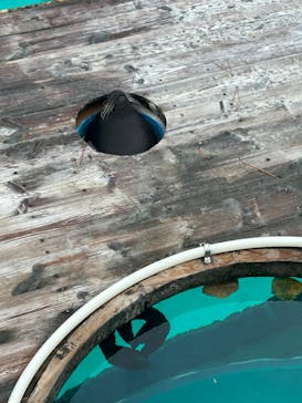 マリンワールド海の中道に投稿された画像（2023/12/15）