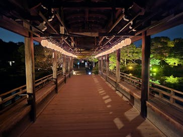 NAKEDヨルマイリ 2025-26 平安神宮に投稿された画像（2023/12/15）