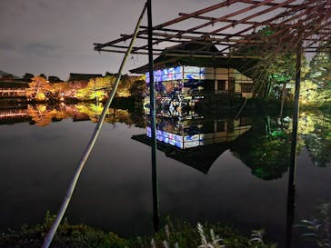 NAKEDヨルマイリ 2025-26 平安神宮に投稿された画像（2023/12/15）