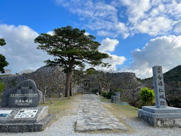 今帰仁城跡に投稿された画像（2023/12/15）