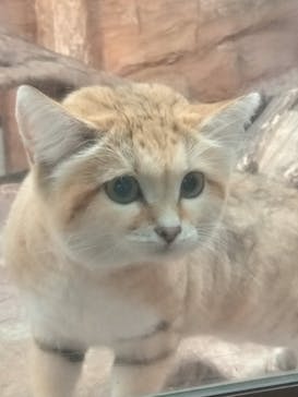 那須どうぶつ王国に投稿された画像（2023/12/15）