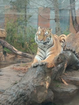 那須どうぶつ王国に投稿された画像（2023/12/15）