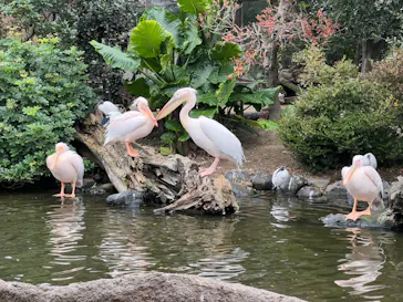 神戸どうぶつ王国に投稿された画像（2023/12/15）