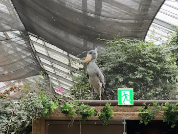 神戸どうぶつ王国に投稿された画像（2023/12/15）