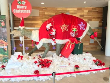 福井県立恐竜博物館に投稿された画像（2023/12/15）