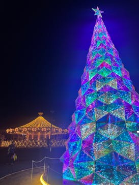 みろくの里に投稿された画像（2023/12/15）