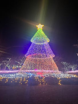 みろくの里に投稿された画像（2023/12/15）