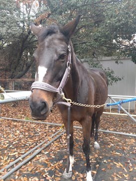 MIKIホーストレックに投稿された画像（2023/12/16）