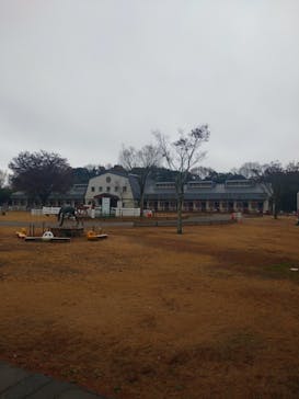 MIKIホーストレックに投稿された画像（2023/12/16）