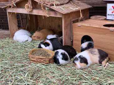 神戸どうぶつ王国に投稿された画像（2023/12/16）