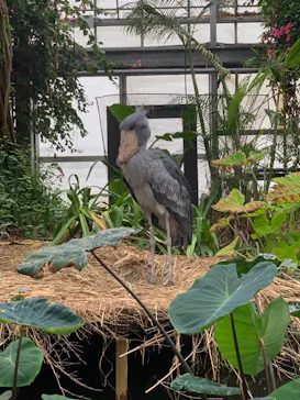 神戸どうぶつ王国に投稿された画像（2023/12/16）