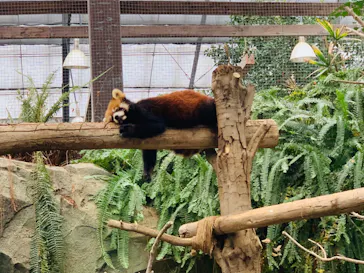 神戸どうぶつ王国に投稿された画像（2023/12/16）