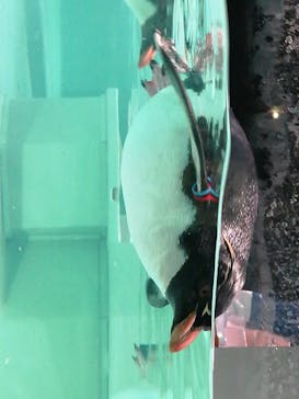 AOAO SAPPOROに投稿された画像（2023/12/16）