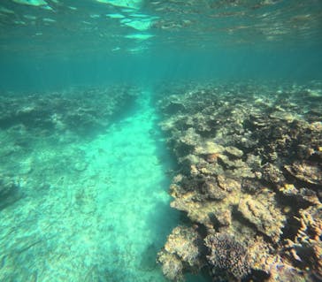 石垣島 ADVENTURE PiPi（イシガキジマアドベンチャーピピ）に投稿された画像（2023/12/16）