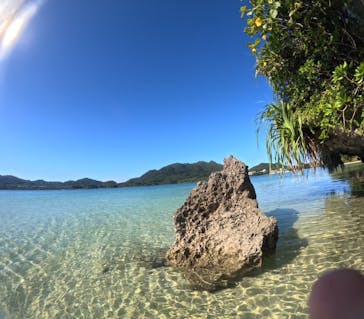 石垣島 ADVENTURE PiPi（イシガキジマアドベンチャーピピ）に投稿された画像（2023/12/16）