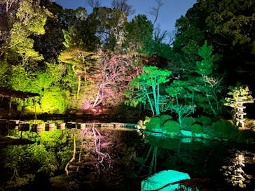 NAKEDヨルマイリ 2025-26 平安神宮に投稿された画像（2023/12/16）