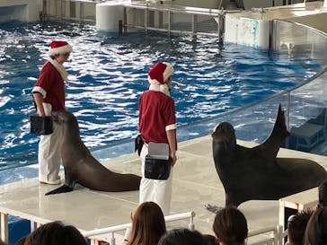 アクアワールド茨城県大洗水族館に投稿された画像（2023/12/16）