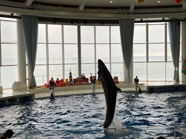 アクアワールド茨城県大洗水族館に投稿された画像（2023/12/16）